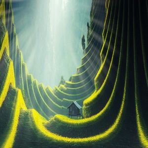 Meet your Posher, Lincoln